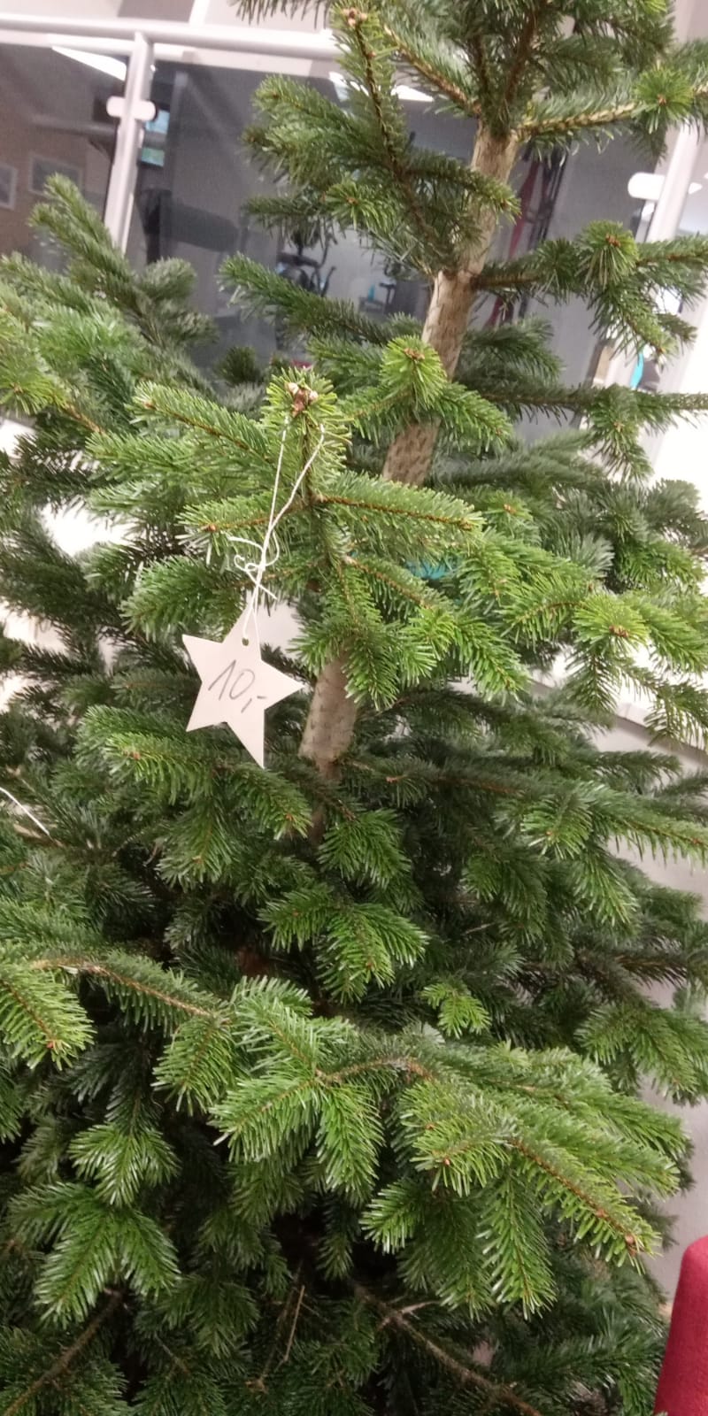 Die erste Spende an unserem Weihnachtsbaum 🎄